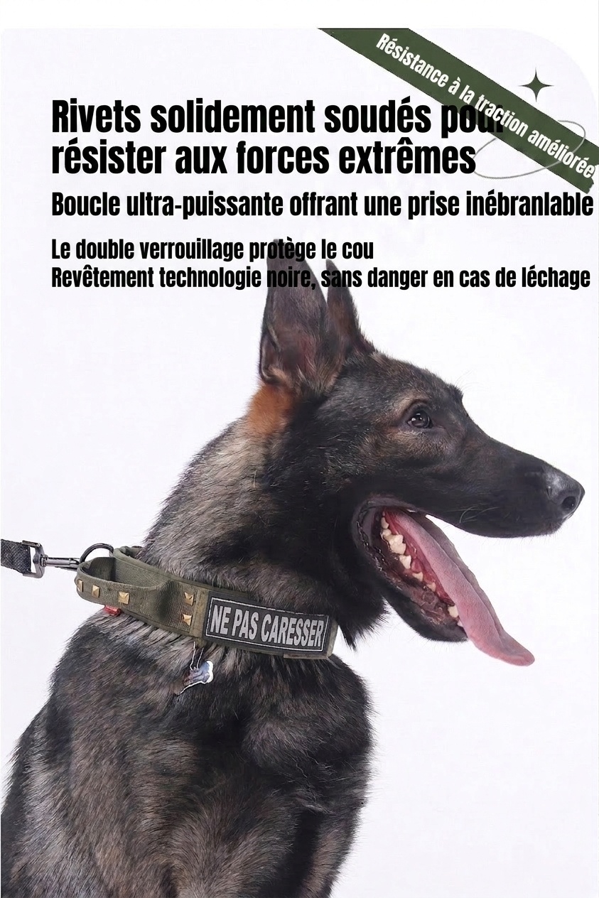Collier tactique pour chien avec boucle Cobra et clous - Robuste