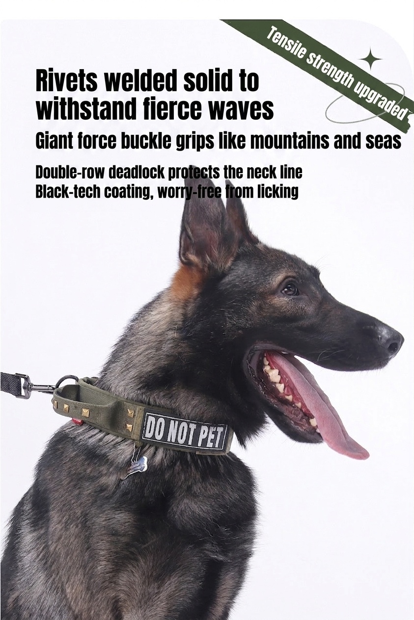 Tactical Dog Collar with Cobra Buckle & Studs - Heavy Duty