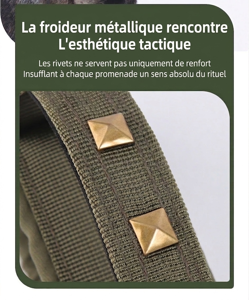 Collier tactique pour chien avec boucle Cobra et clous - Robuste