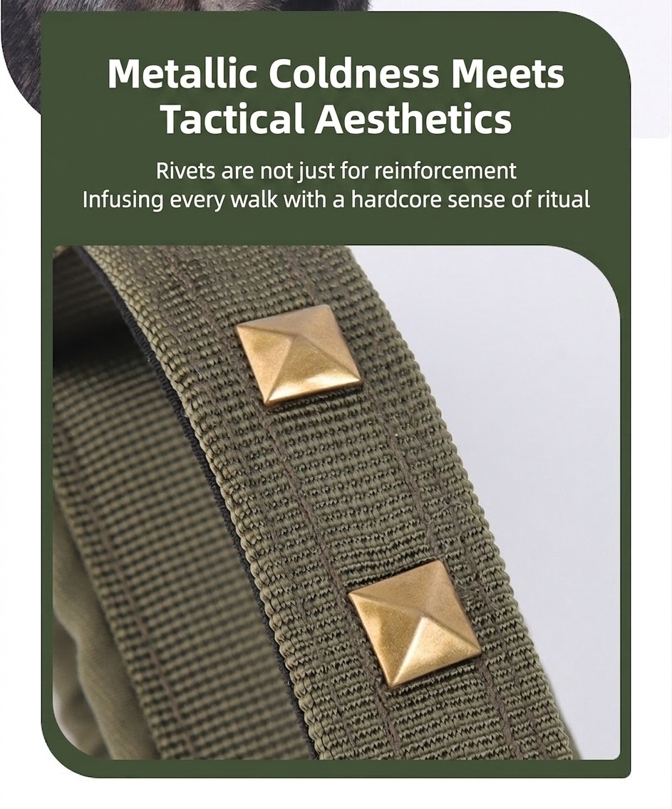 Tactical Dog Collar with Cobra Buckle & Studs - Heavy Duty