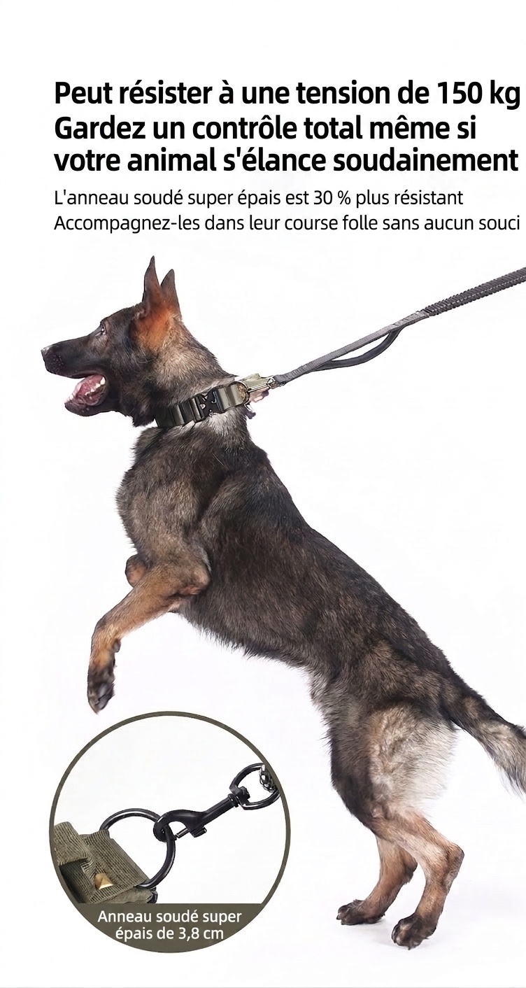 Collier tactique pour chien avec boucle Cobra et clous - Robuste