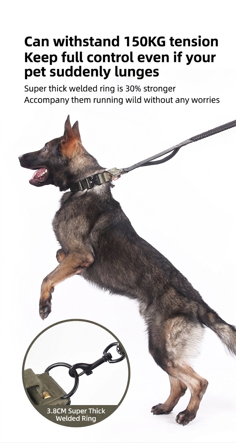 Tactical Dog Collar with Cobra Buckle & Studs - Heavy Duty