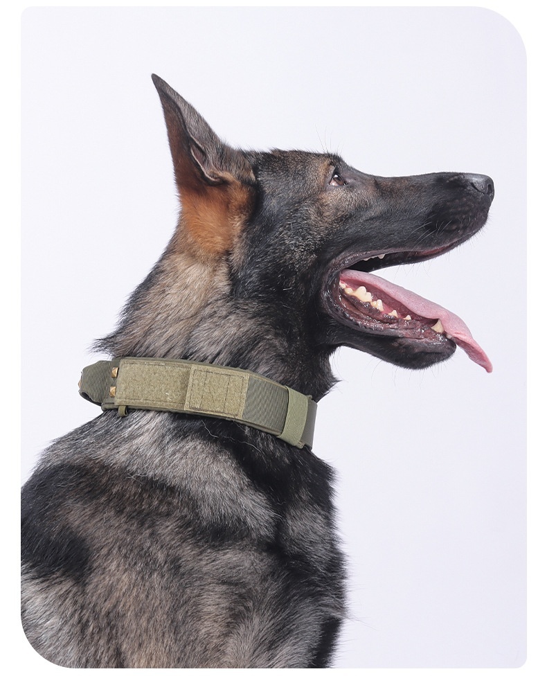 Tactical Dog Collar with Cobra Buckle & Studs - Heavy Duty