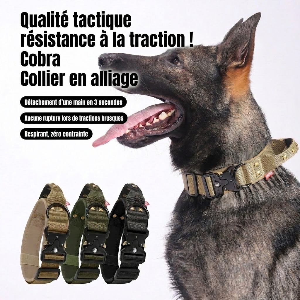 Collier tactique pour chien avec boucle Cobra et clous - Robuste