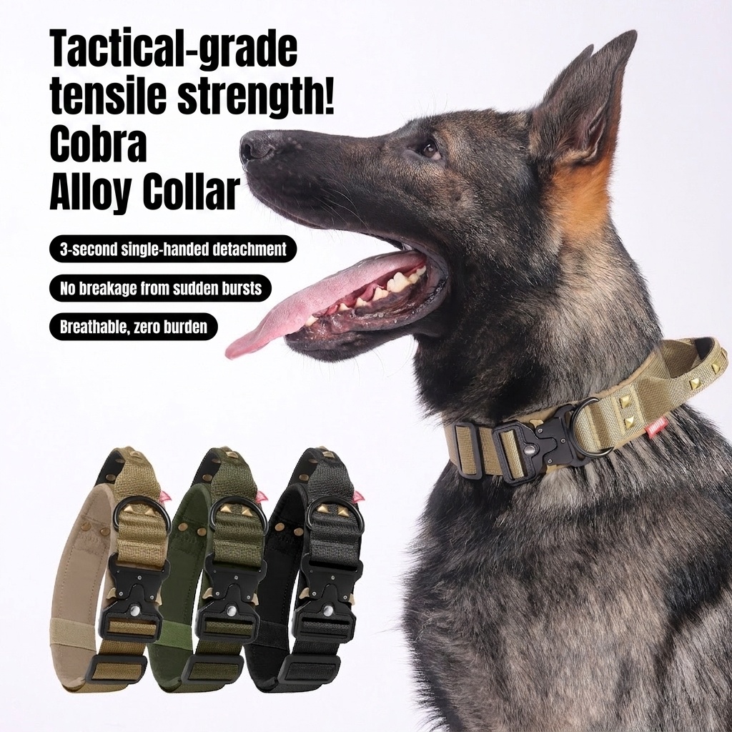 Tactical Dog Collar with Cobra Buckle & Studs - Heavy Duty