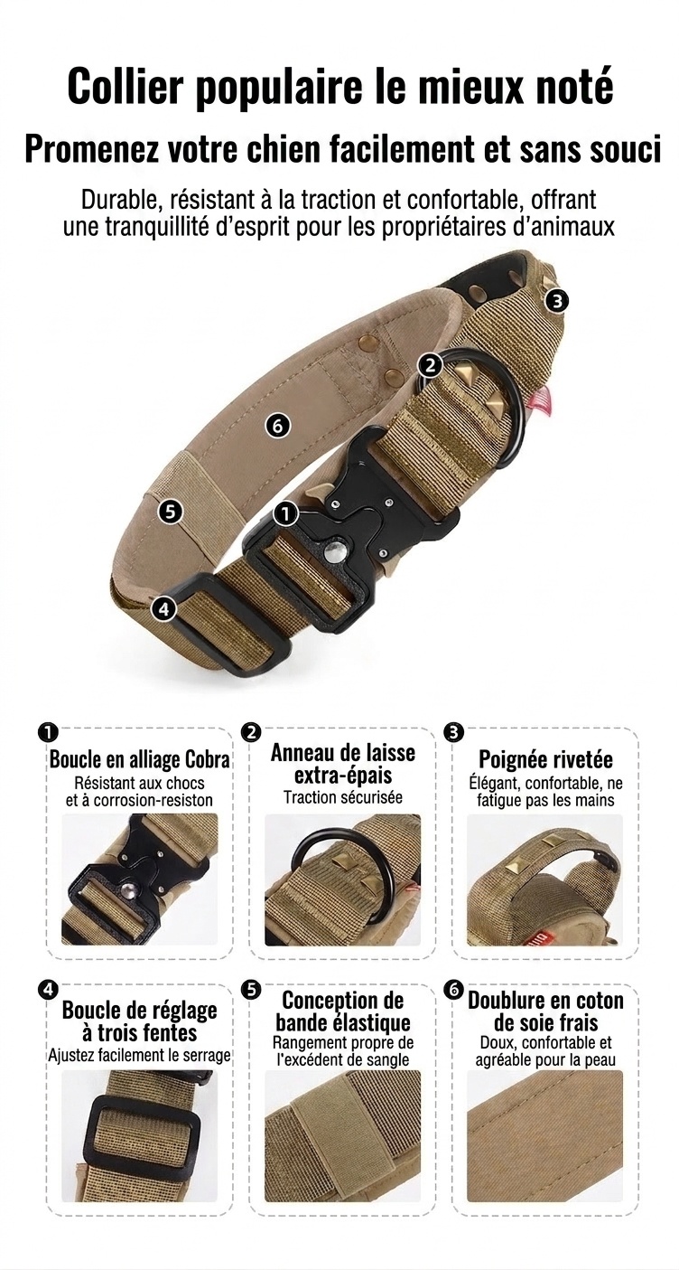 Collier tactique pour chien avec boucle Cobra et clous - Robuste