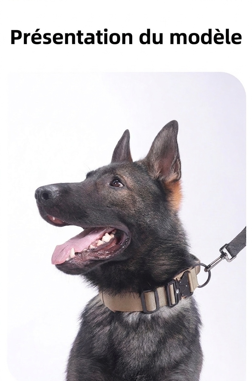 Collier tactique pour chien avec boucle Cobra et clous - Robuste