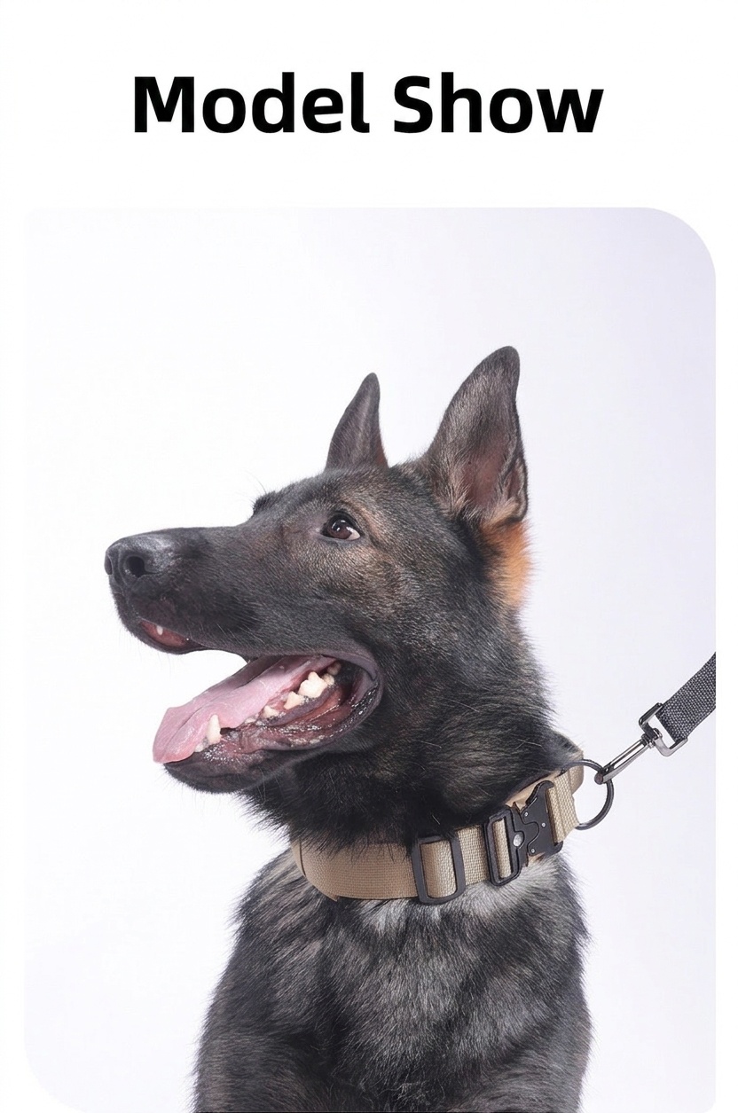 Tactical Dog Collar with Cobra Buckle & Studs - Heavy Duty