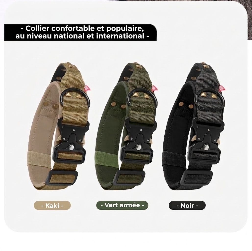 Tactical Dog Collar with Cobra Buckle & Studs - Heavy Duty