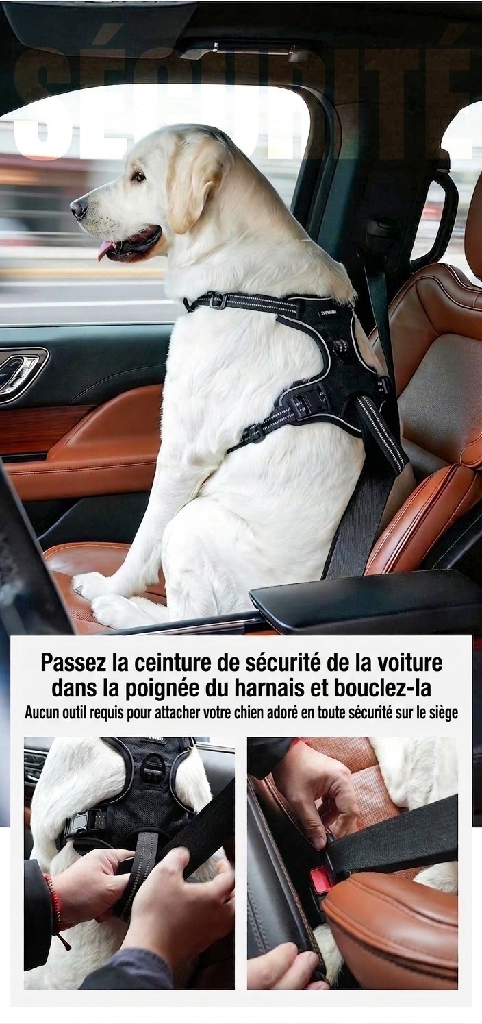 Adjustable No-Pull Dog Harness for Car Safety & Walking