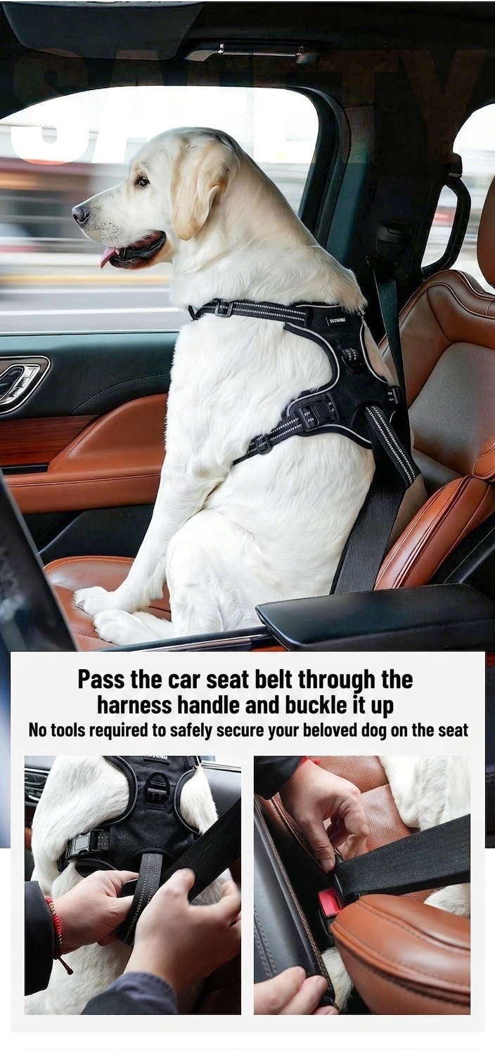 Adjustable No-Pull Dog Harness for Car Safety & Walking