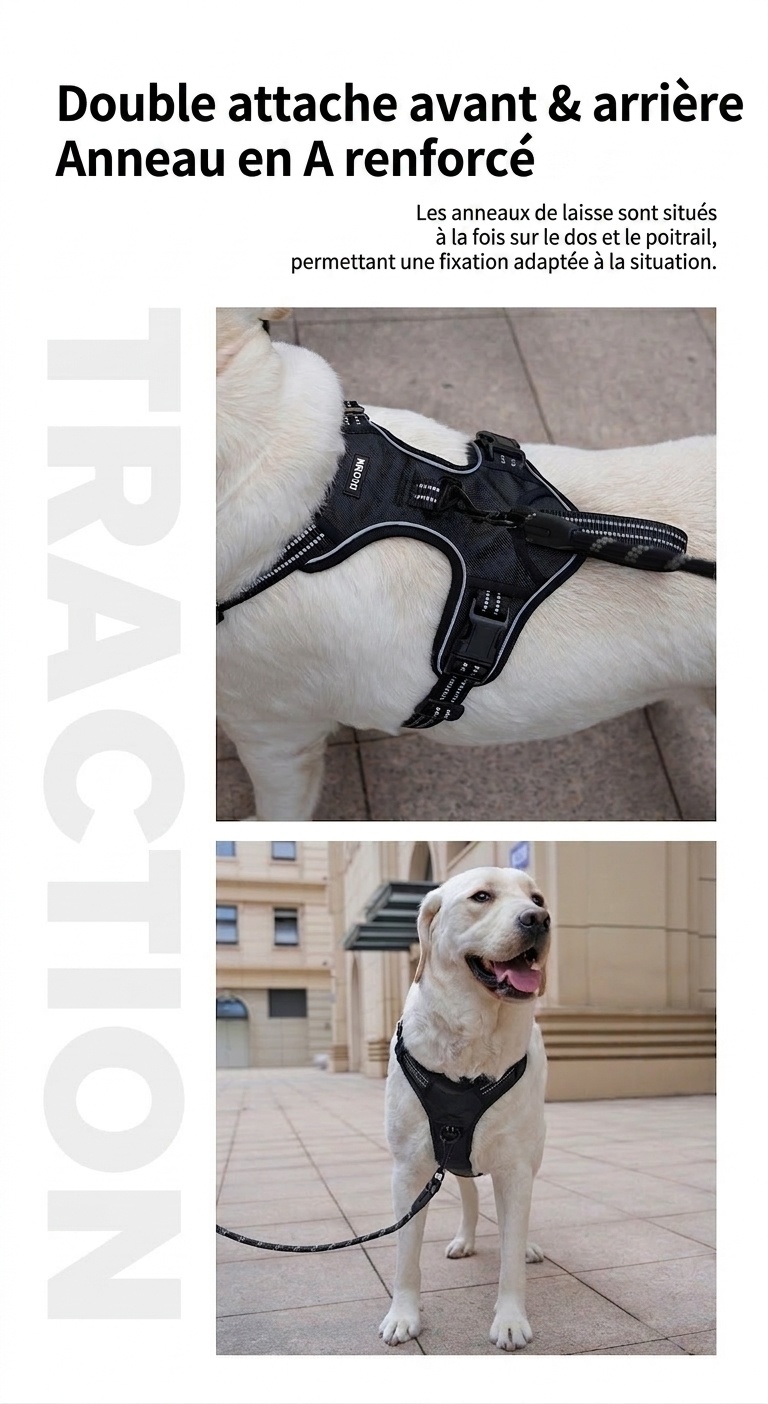 Adjustable No-Pull Dog Harness for Car Safety & Walking