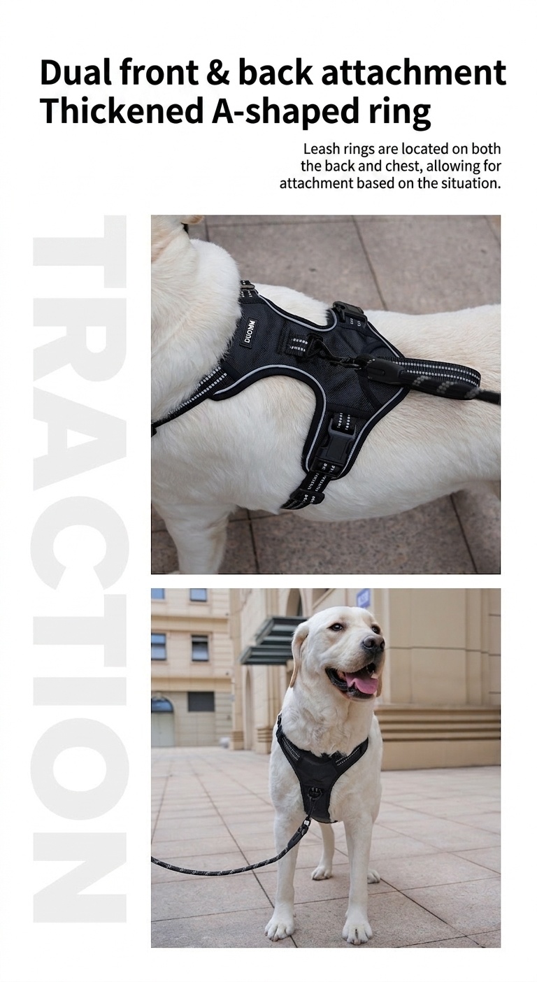 Adjustable No-Pull Dog Harness for Car Safety & Walking