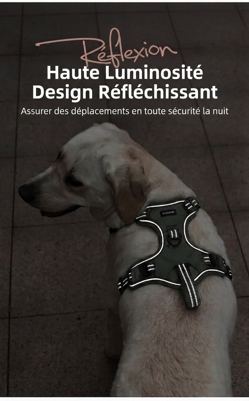 Adjustable No-Pull Dog Harness for Car Safety & Walking