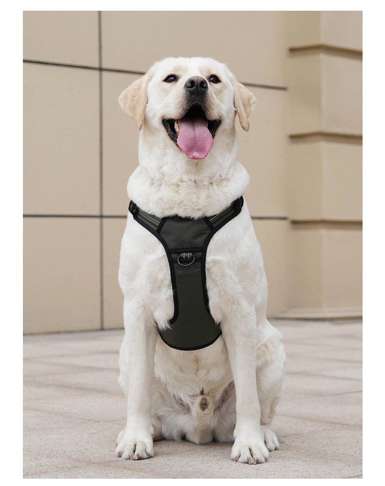 Adjustable No-Pull Dog Harness for Car Safety & Walking