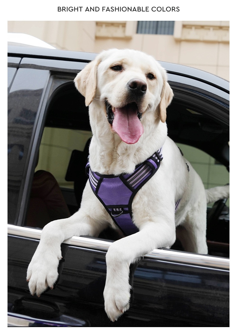 Adjustable No-Pull Dog Harness for Car Safety & Walking