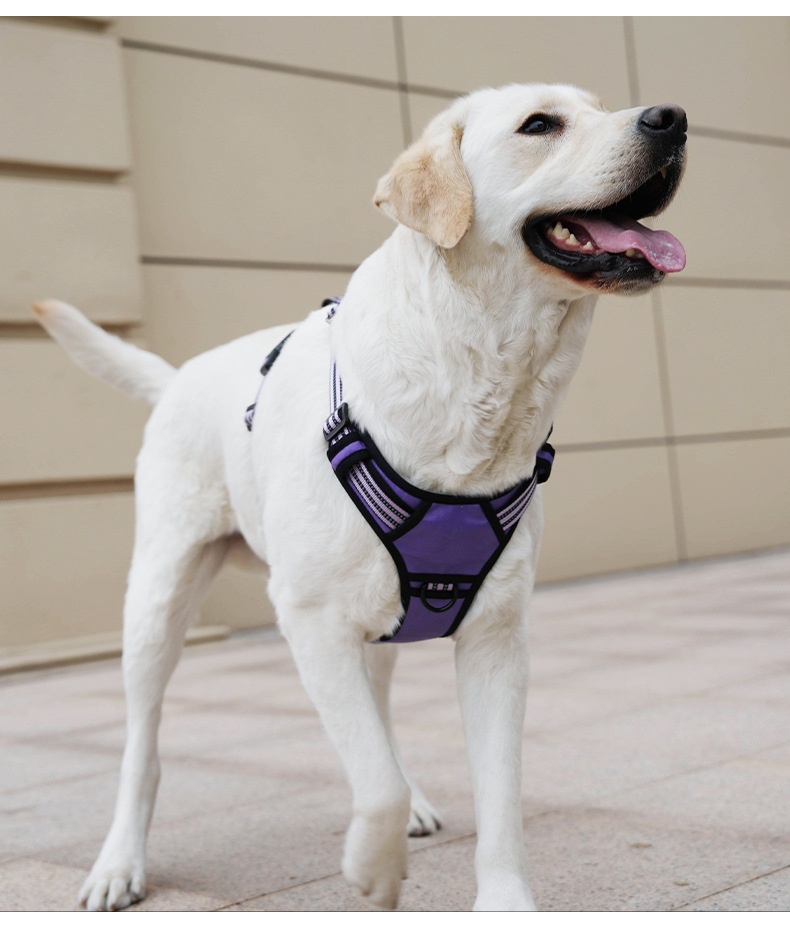Adjustable No-Pull Dog Harness for Car Safety & Walking