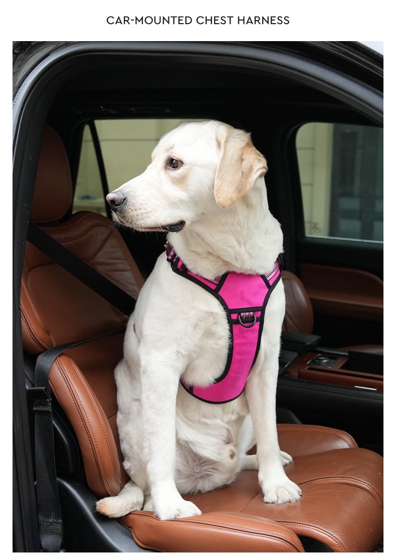 Adjustable No-Pull Dog Harness for Car Safety & Walking