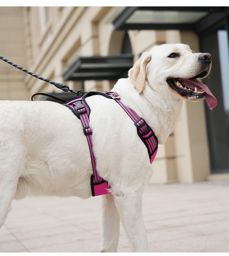Adjustable No-Pull Dog Harness for Car Safety & Walking