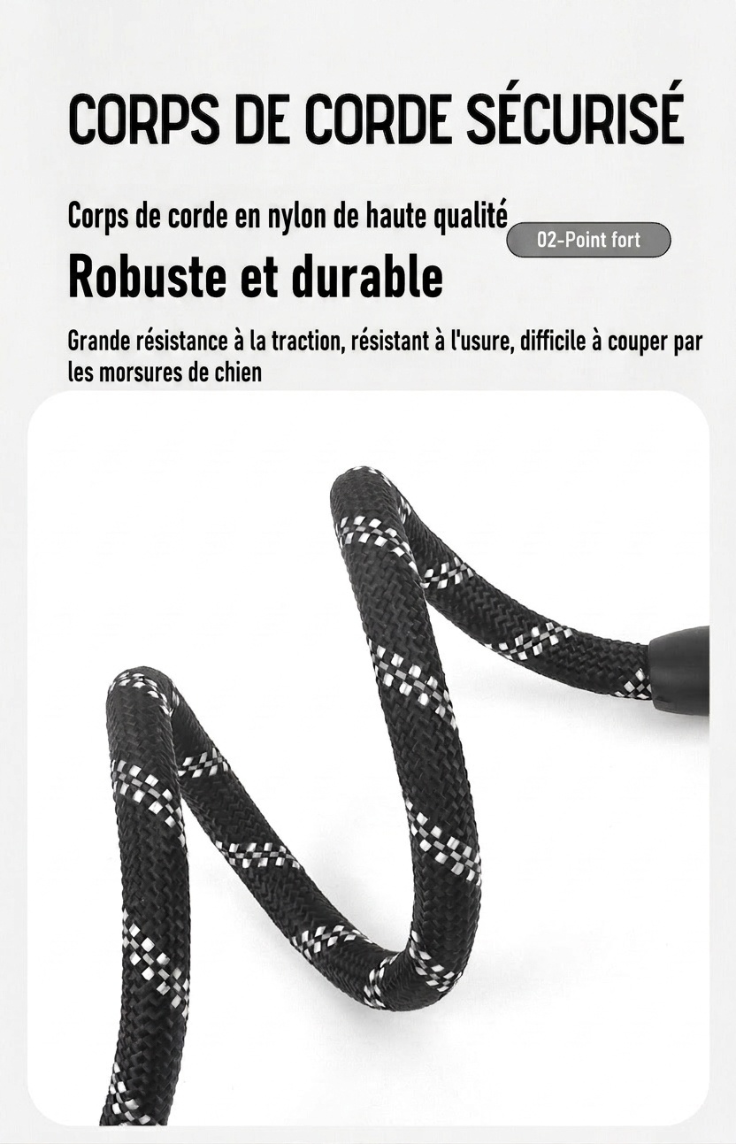 Durable Multi-Dog Leash with Padded Handle & Reflective Rope