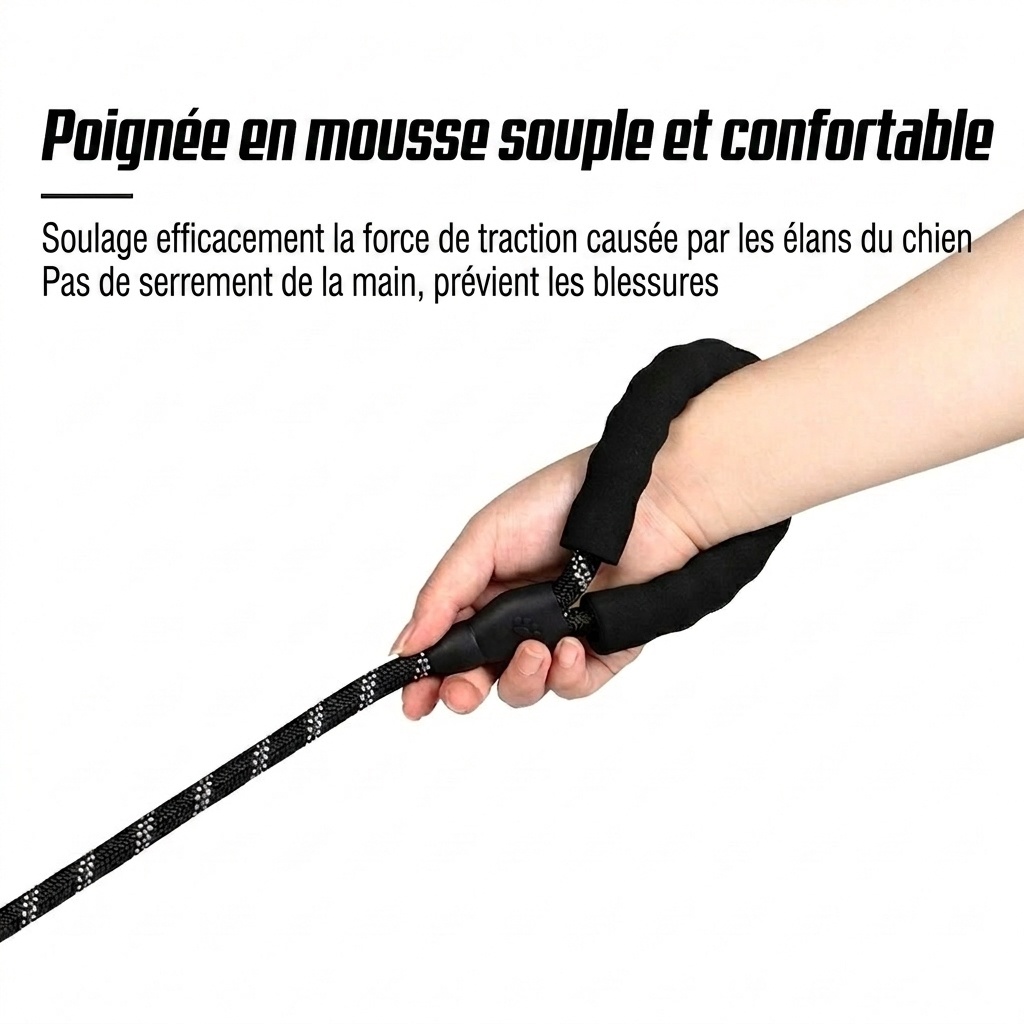 Durable Multi-Dog Leash with Padded Handle & Reflective Rope