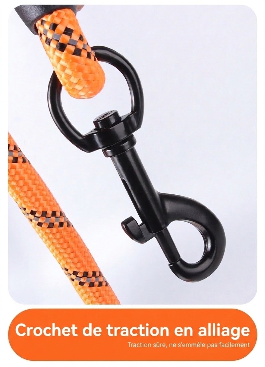 Reflective Nylon Dog Leash with Padded Handle for Medium Large Dogs