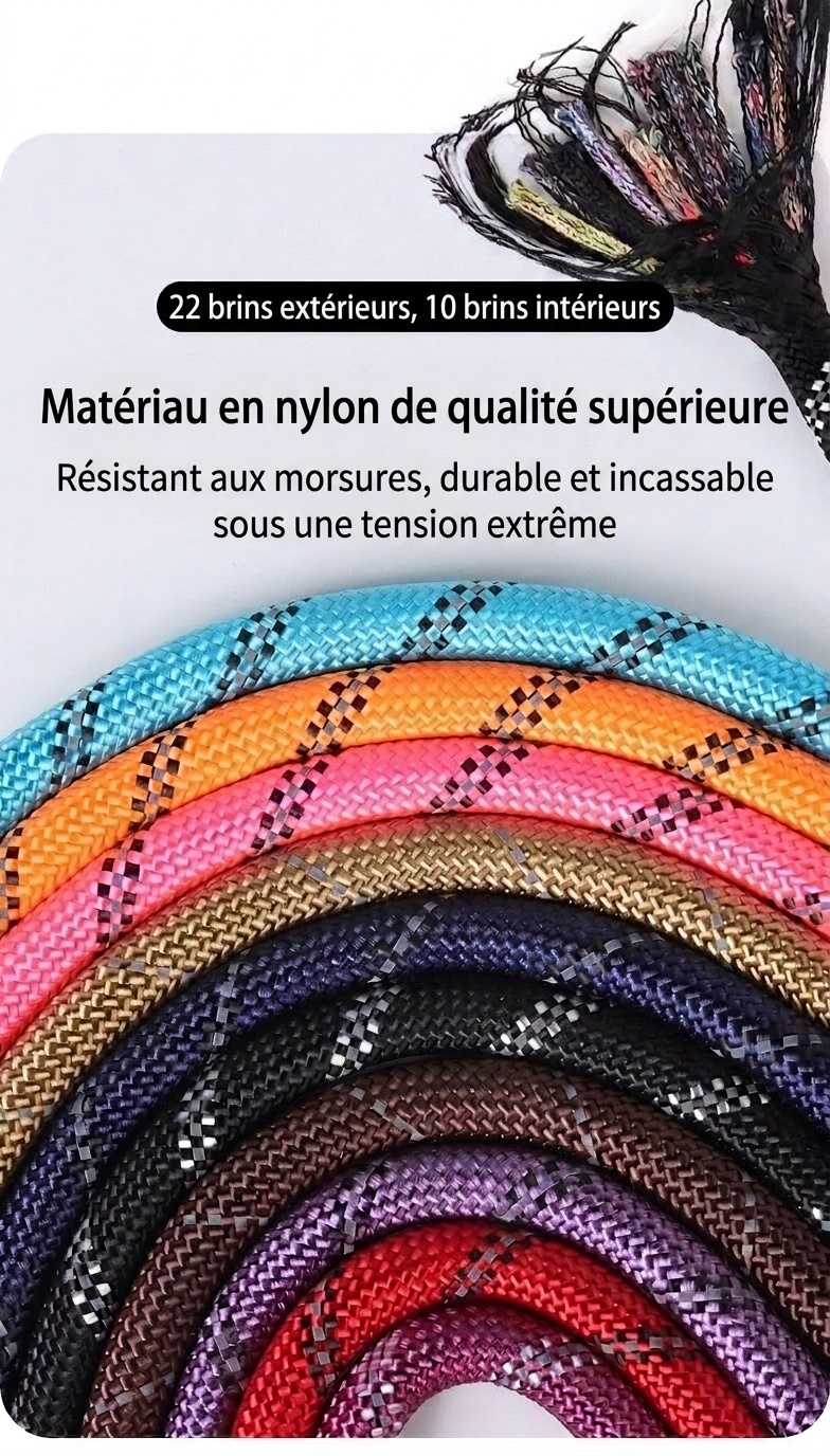 Reflective Nylon Dog Leash with Padded Handle for Medium Large Dogs