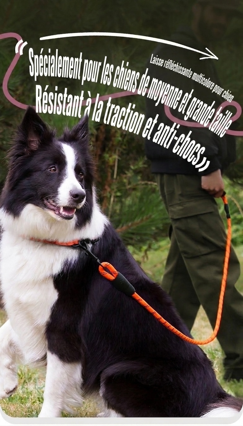 Reflective Nylon Dog Leash with Padded Handle for Medium Large Dogs
