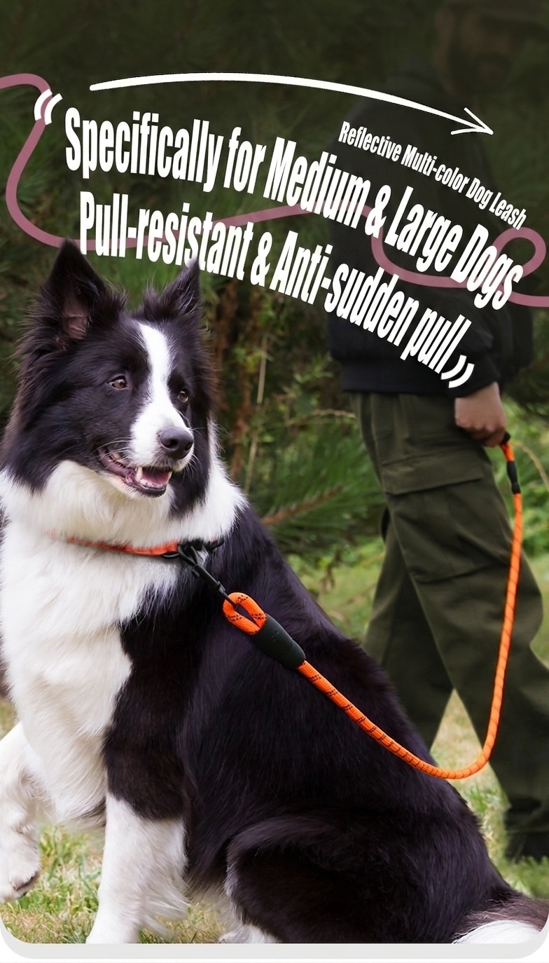 Reflektierende Nylon-Hundeleine mit gepolstertem Griff für mittelgroße bis große Hunde