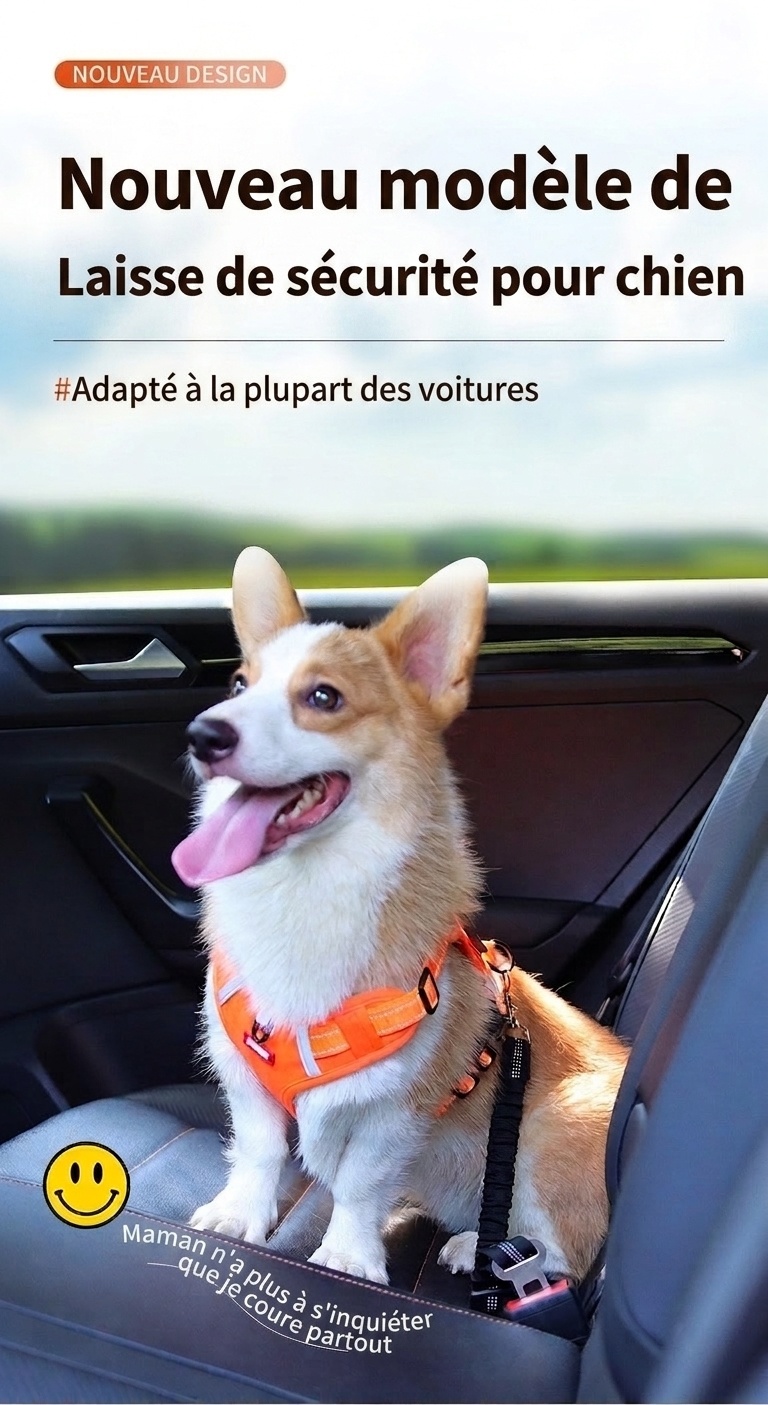 Adjustable Pet Car Seat Belt Leash - Reflective & Elastic