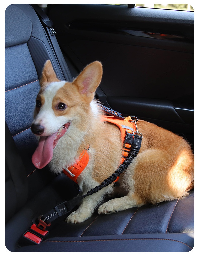 Adjustable Pet Car Seat Belt Leash - Reflective & Elastic