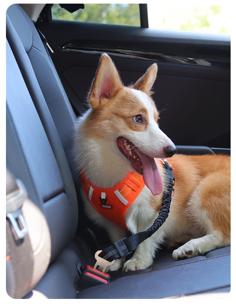 Adjustable Pet Car Seat Belt Leash - Reflective & Elastic