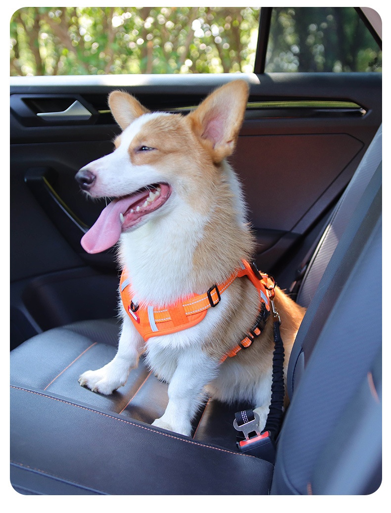 Adjustable Pet Car Seat Belt Leash - Reflective & Elastic
