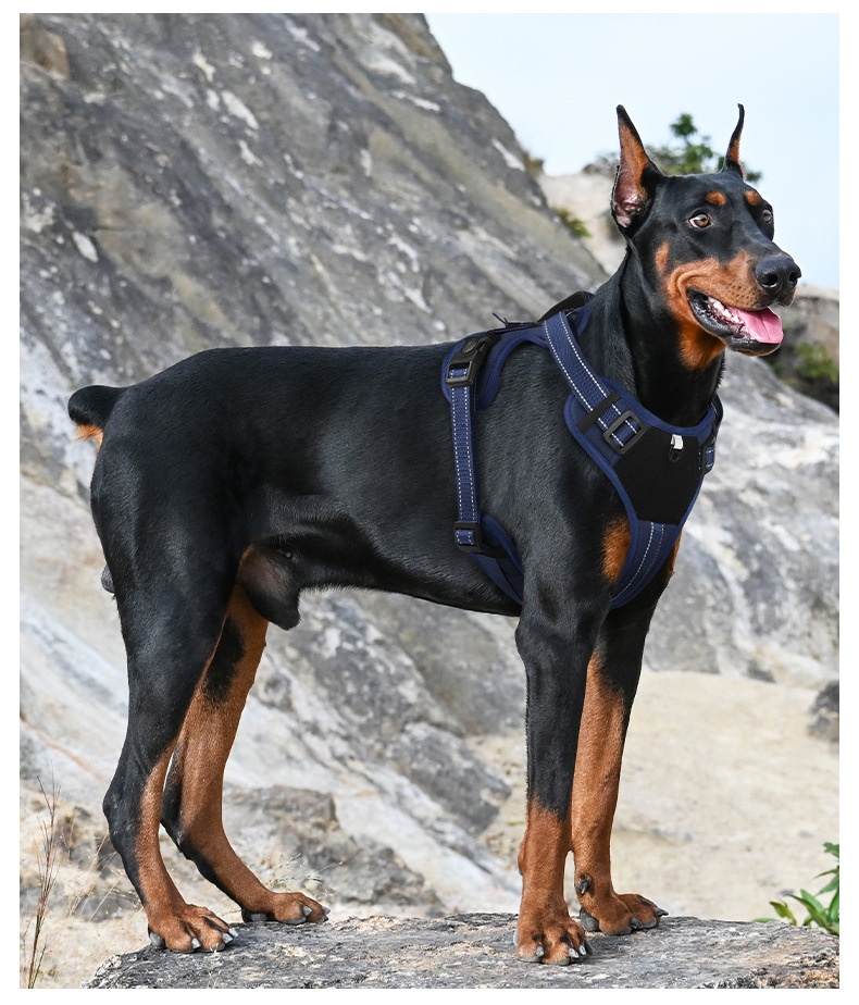 Tactical No-Pull Dog Harness with Leash - Adjustable & Reflective
