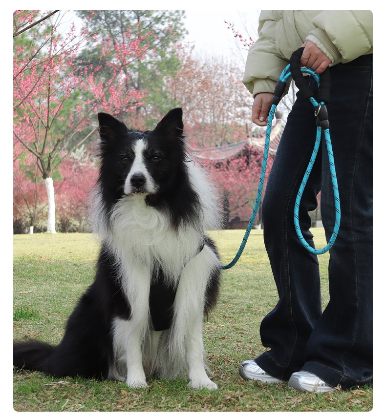 Dual Handle Reflective Nylon Dog Leash with Padded Grip