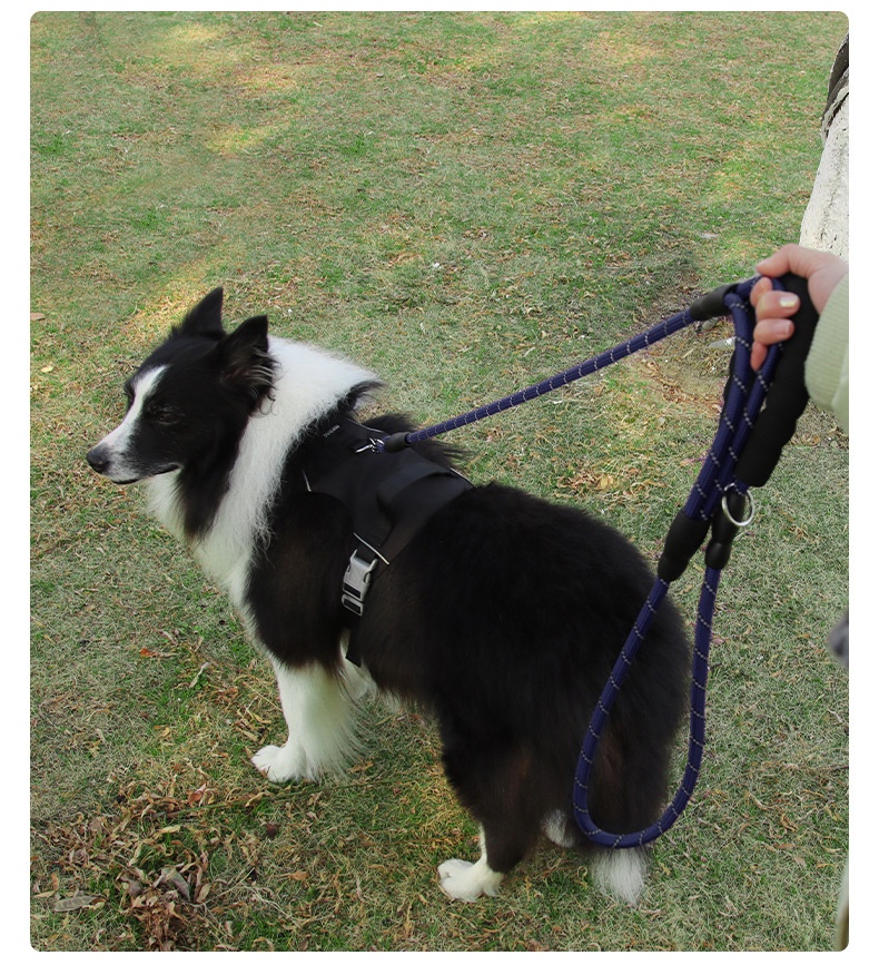 Dual Handle Reflective Nylon Dog Leash with Padded Grip