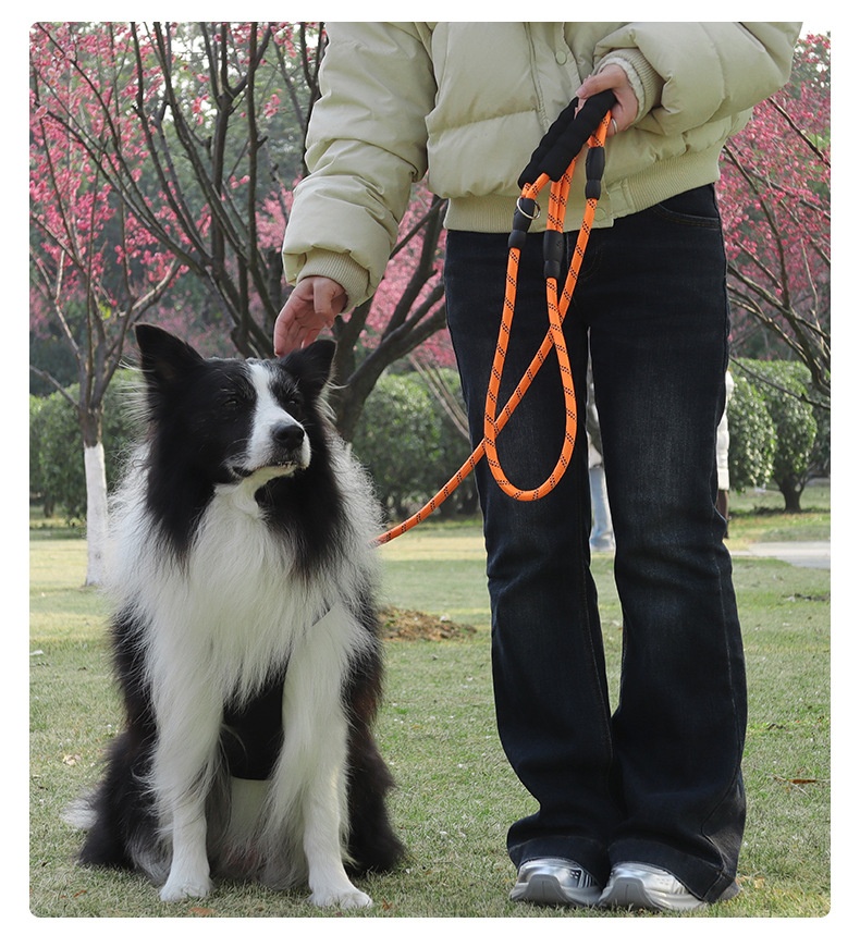 Dual Handle Reflective Nylon Dog Leash with Padded Grip