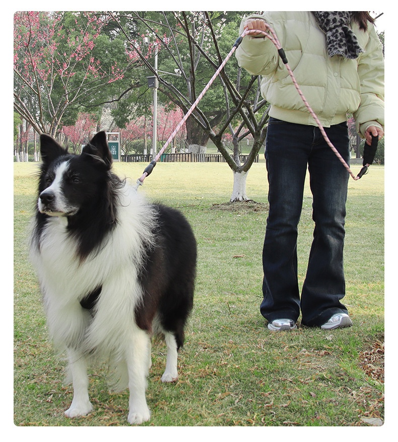 Dual Handle Reflective Nylon Dog Leash with Padded Grip