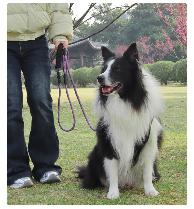Dual Handle Reflective Nylon Dog Leash with Padded Grip