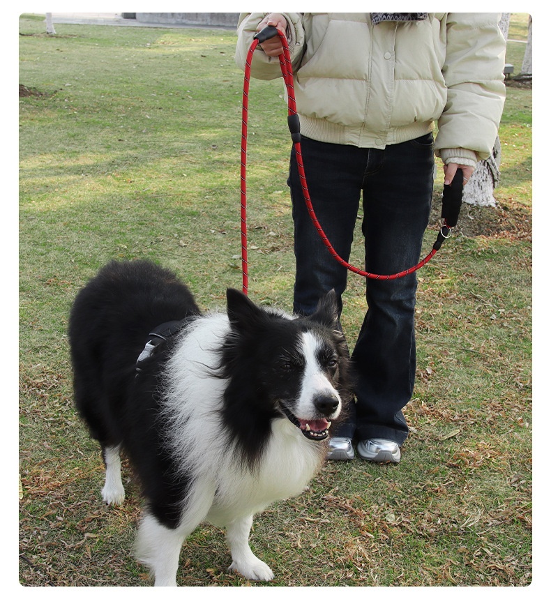 Dual Handle Reflective Nylon Dog Leash with Padded Grip