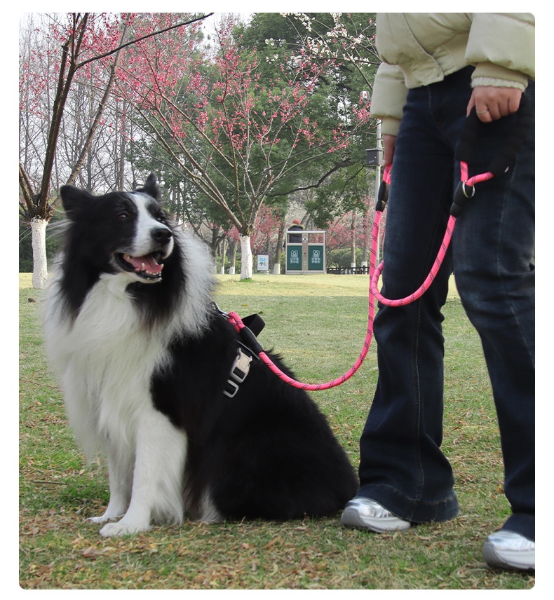 Dual Handle Reflective Nylon Dog Leash with Padded Grip