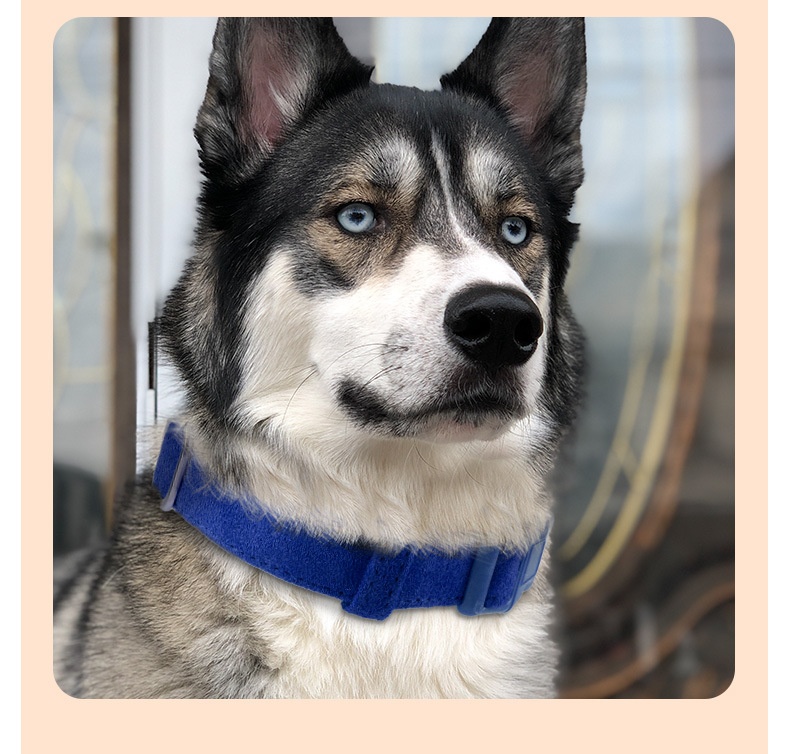 Soft Suede Pet Collar & Leash Set - Adjustable & Comfortable