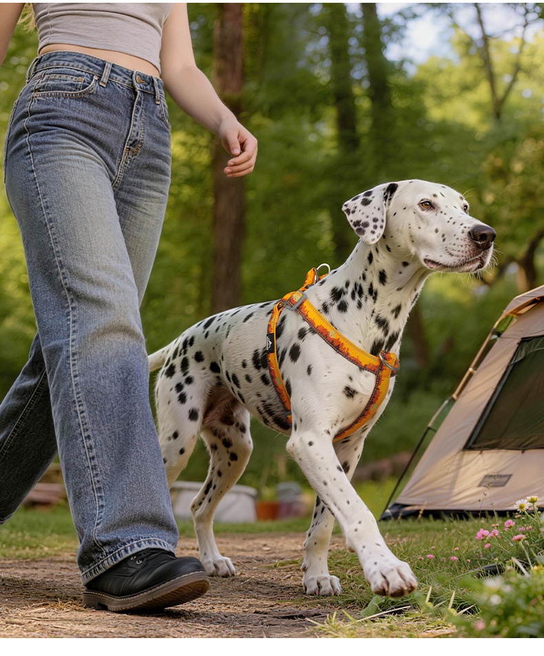 Dog Harness - Adjustable, Reflective, Anti-Escape Design