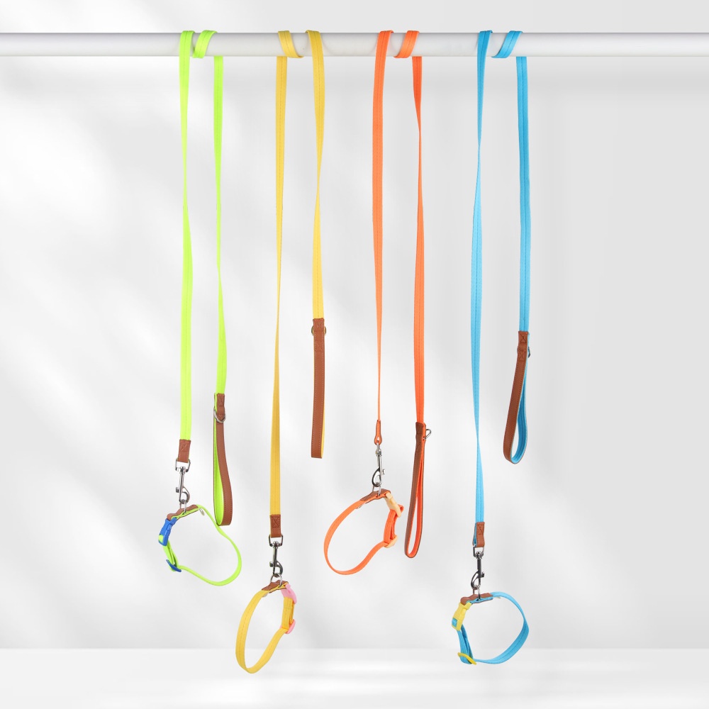 Lightweight Adjustable Pet Collar & Leash Set - Durable