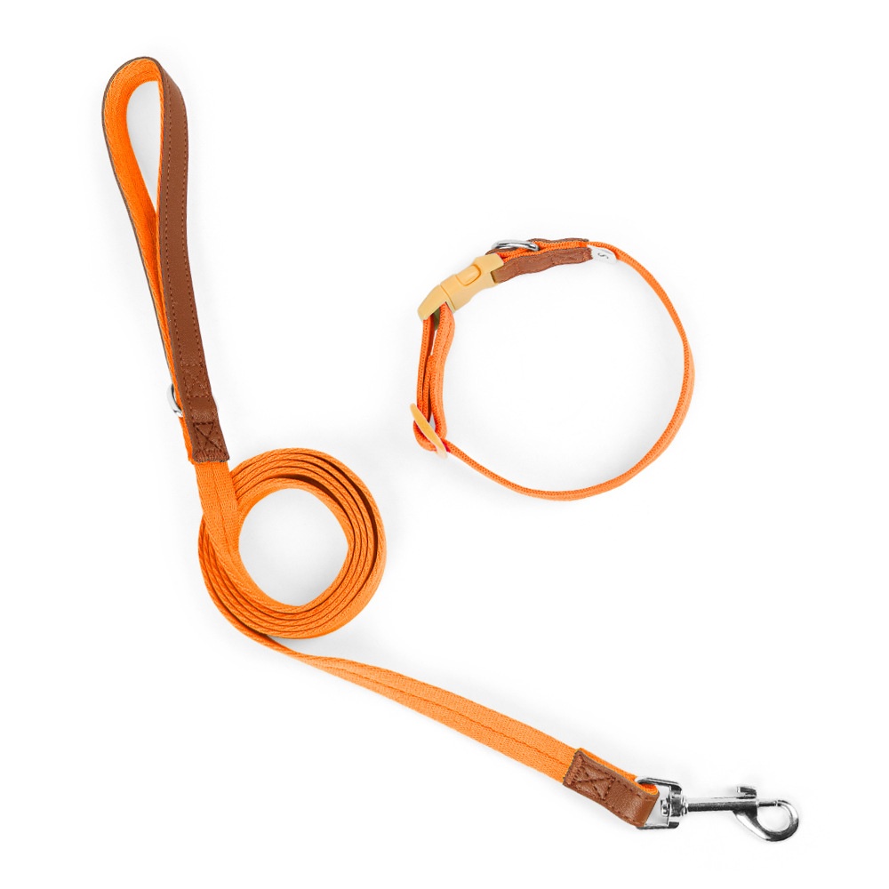 Lightweight Adjustable Pet Collar & Leash Set - Durable