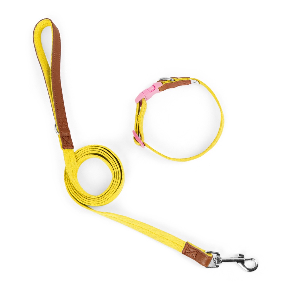 Lightweight Adjustable Pet Collar & Leash Set - Durable