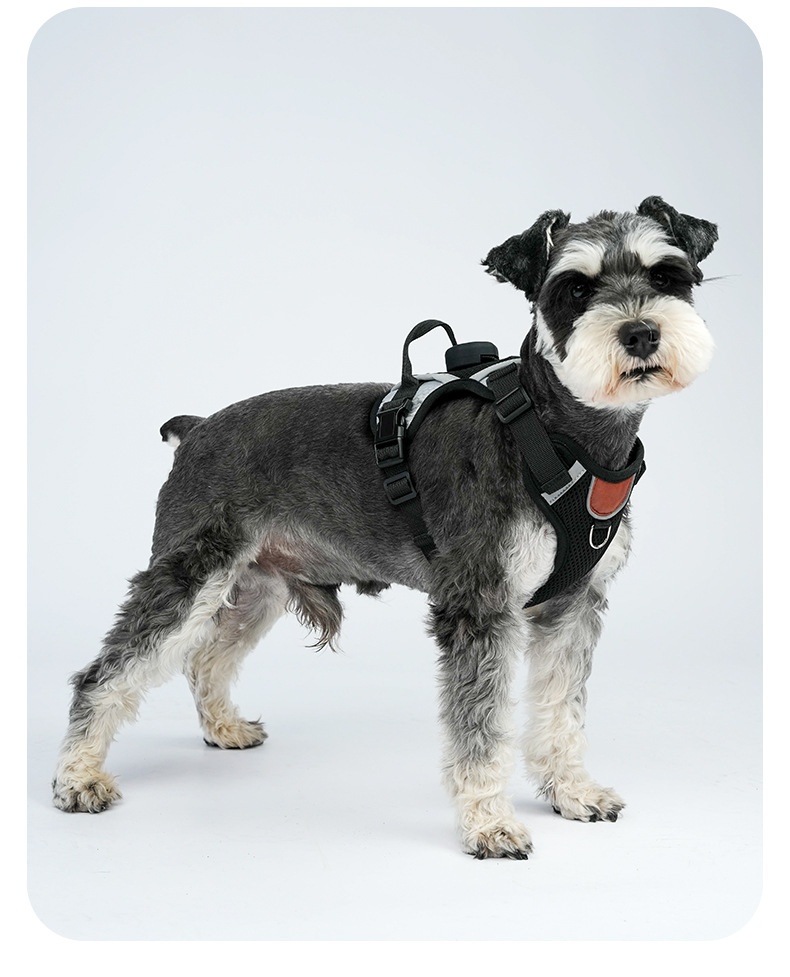 Breathable Mesh Dog Harness with AirTag Holder & Leash Set