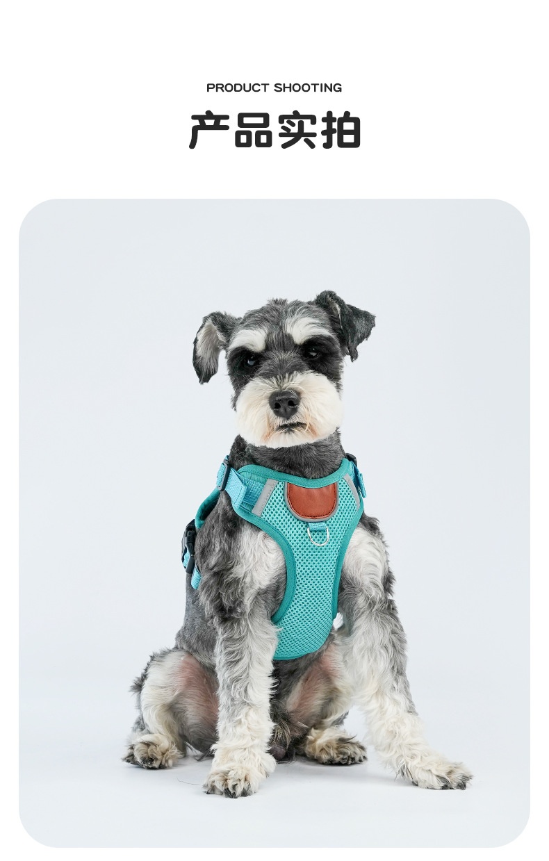 Breathable Mesh Dog Harness with AirTag Holder & Leash Set