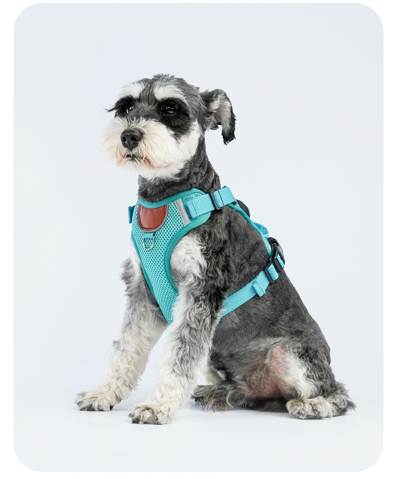 Breathable Mesh Dog Harness with AirTag Holder & Leash Set