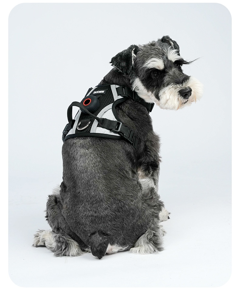 Breathable Mesh Dog Harness with AirTag Holder & Leash Set